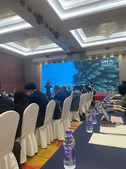 专业语言支持保障清华大学—联合国闭门会议高效沟通