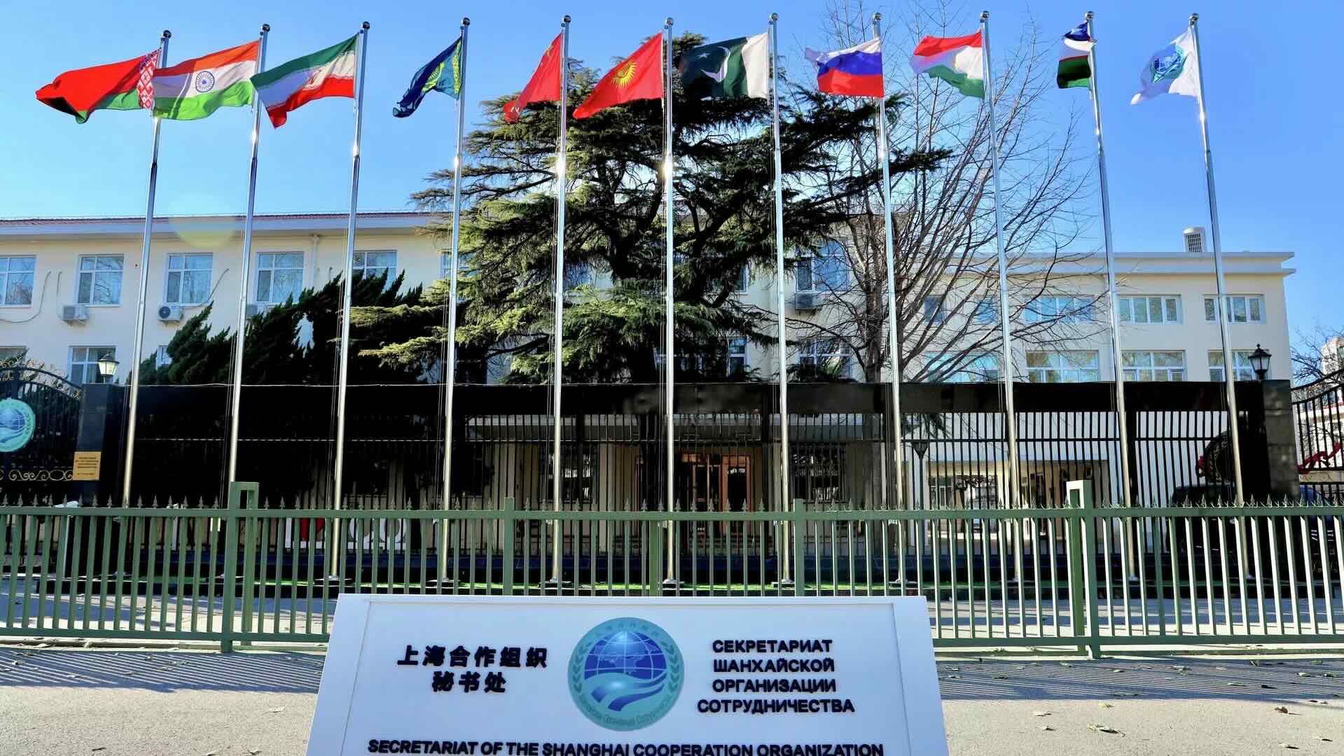 2116987_0_0_3415_1921_0x1080_80_0_0_c9b763b49a6941afccb2ac94f0d6b0ba.jpg.jpeg